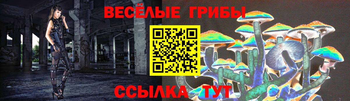 Родники  продажа наркотиков  Вход с VPN  Галлюциногенные грибы Psilocybine cubensis 